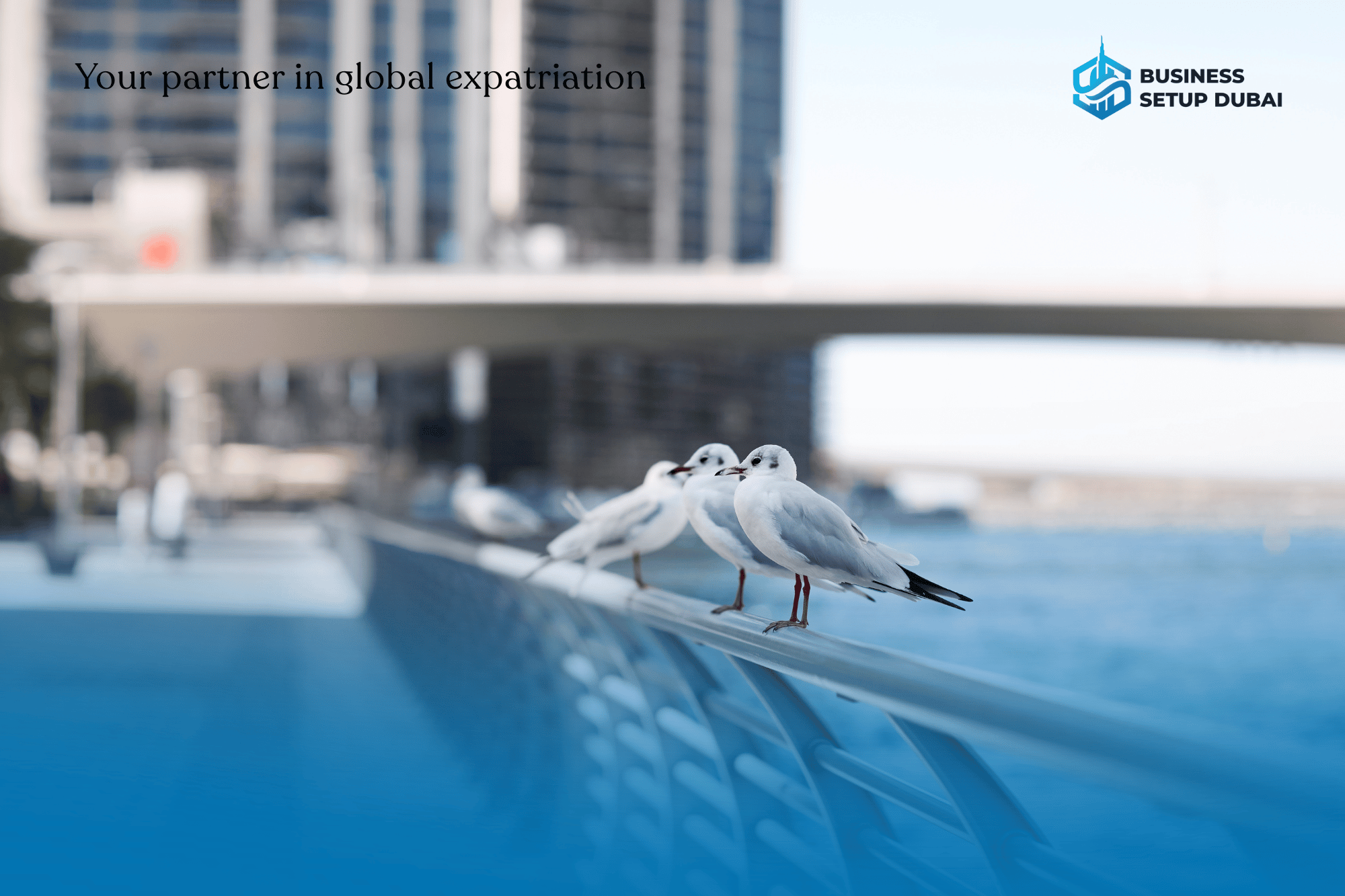 Pet Relocation to Dubai